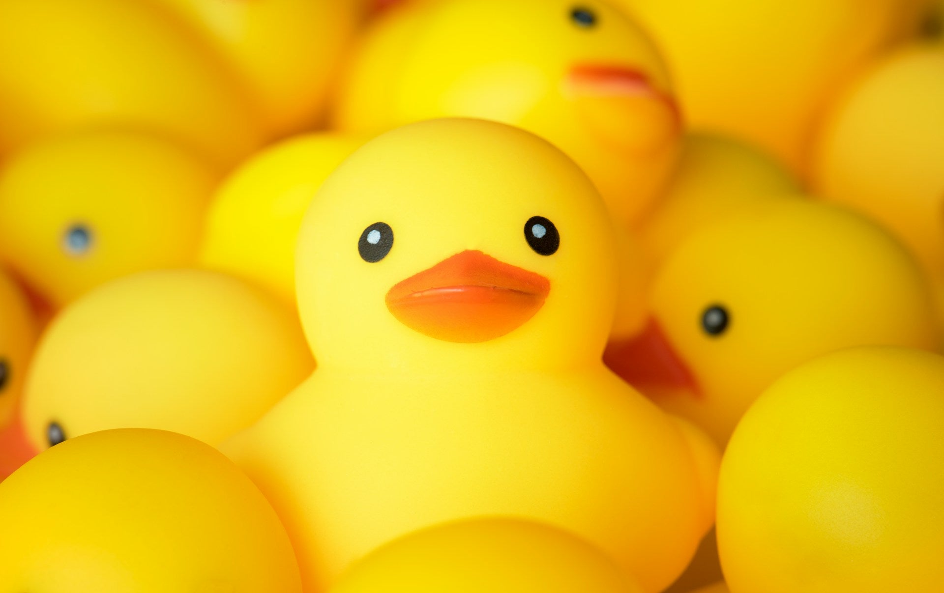 Glow in the Dark Ducks: Fun That Shines at Night